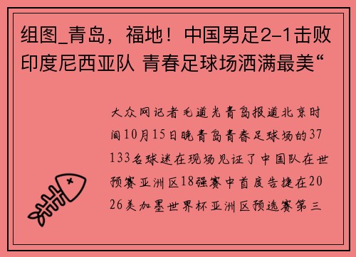 组图_青岛，福地！中国男足2-1击败印度尼西亚队 青春足球场洒满最美“中国红”
