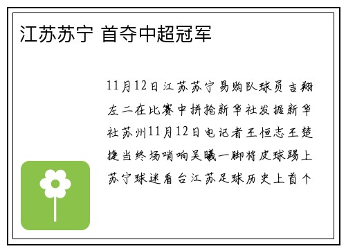 江苏苏宁 首夺中超冠军