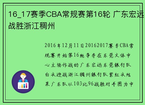 16_17赛季CBA常规赛第16轮 广东宏远战胜浙江稠州